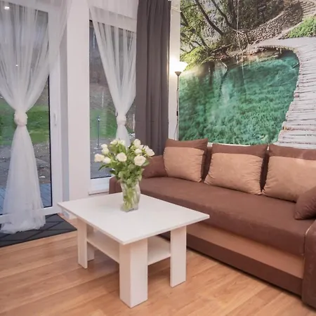 Apartamenty Goszowita Stronie Slaskie Exterior photo